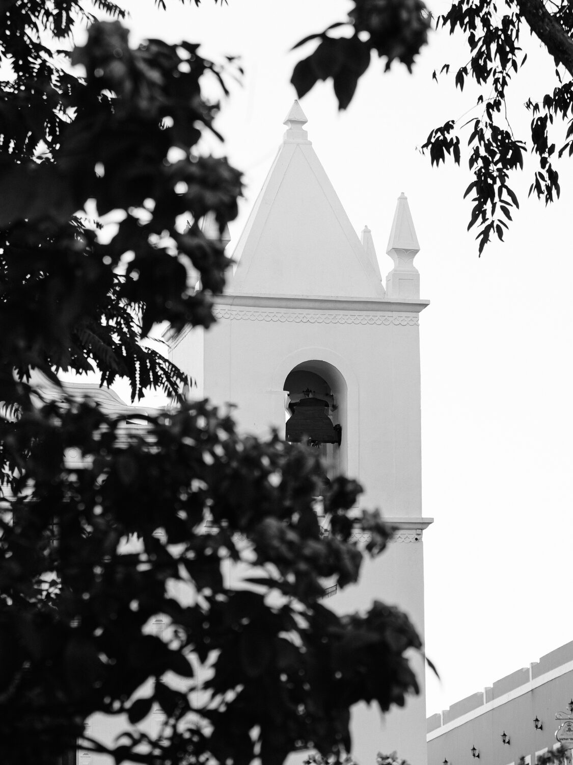 Torre branca da igreja entre folhas escuras, ao amanhecer.