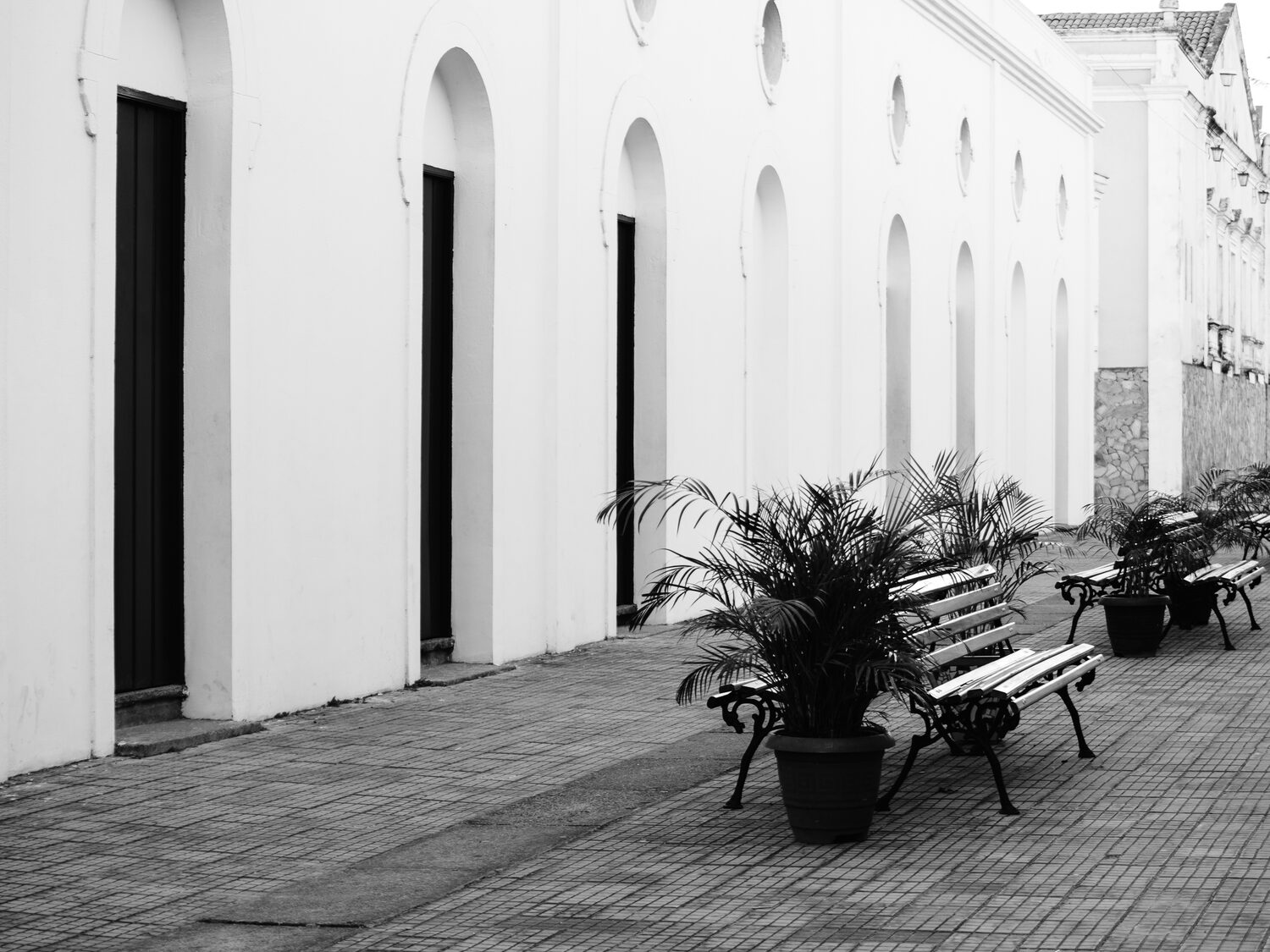 Calçada de ladrilhos com bancos de madeira e palmeiras junto às portas em arco.